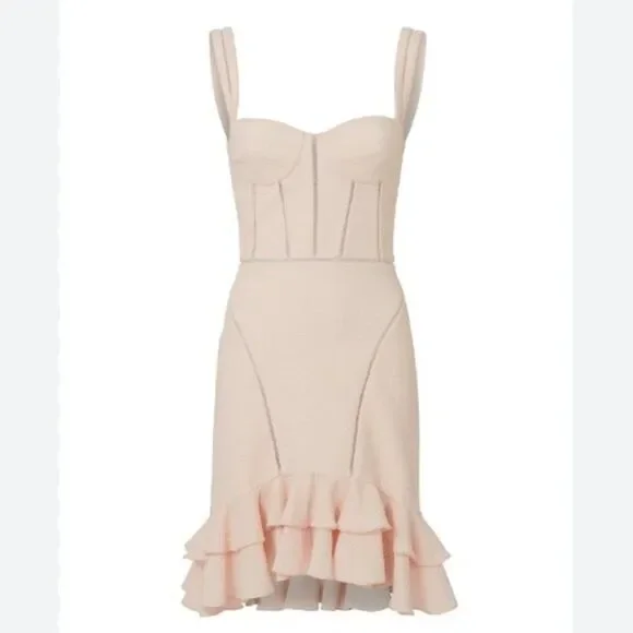NWT. $795 Jonathan Simkhai Bustier Mini Dress Size 0 pink